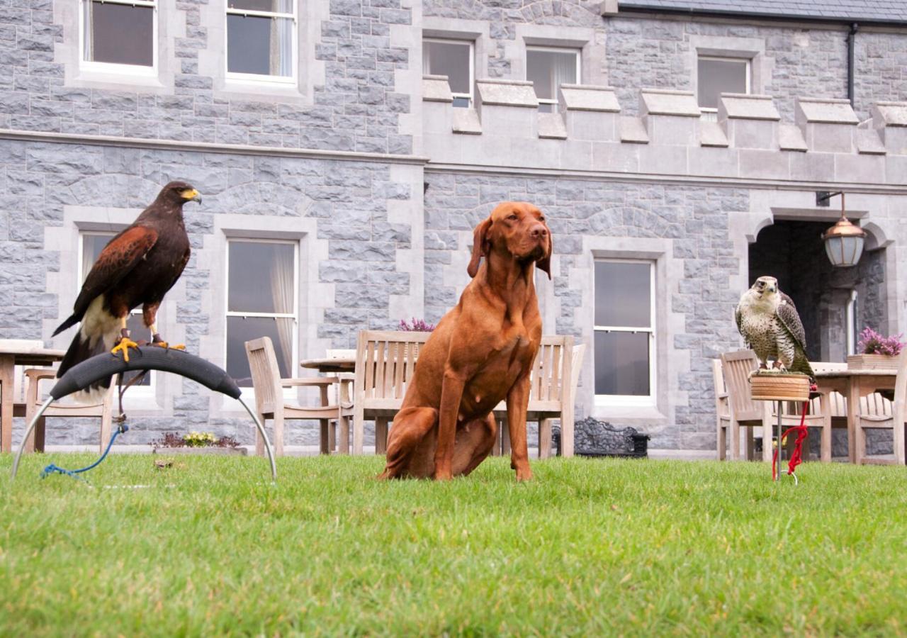 Mount Falcon Estate Ballina  Extérieur photo