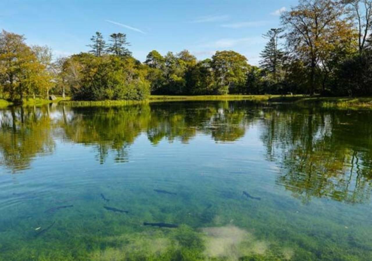 Mount Falcon Estate Ballina  Extérieur photo